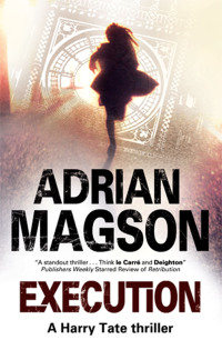 execution a harry tate thriller  adrian magson 0727882821, 1780104359, 9780727882820, 9781780104355