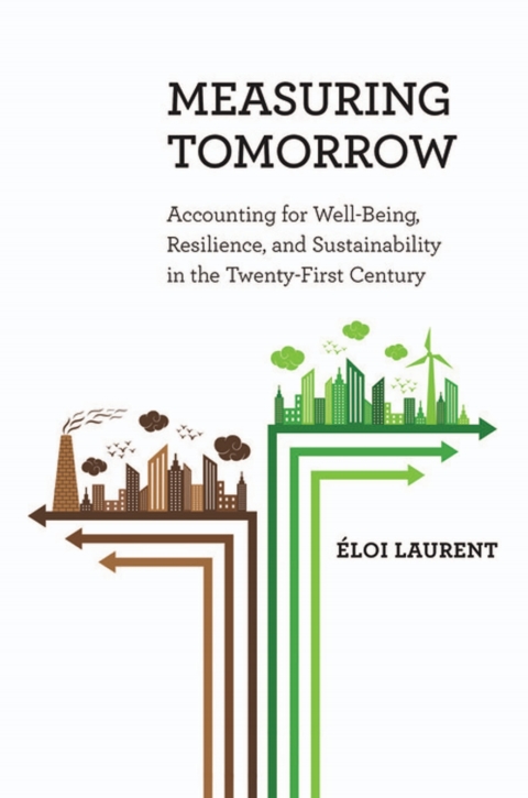 measuring tomorrow accounting for well being resilience and sustainability in the twenty first century 1st