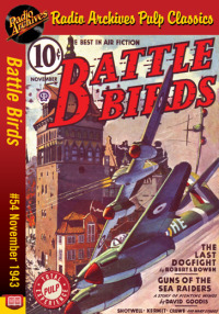 battle birds 54 november 1943 1st edition robert sidney bowen, dave goodis 1690503017, 9781690503019