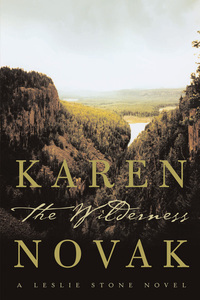 the wilderness 1st edition karen novak 1582344833, 1596918659, 9781582344836, 9781596918658