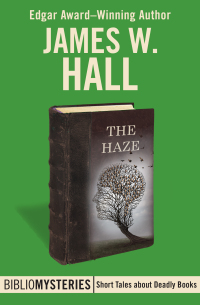the haze  james w. hall 1504039483, 9781504039482