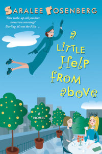 a little help from above  saralee rosenberg 0060096209, 006174848x, 9780060096205, 9780061748486