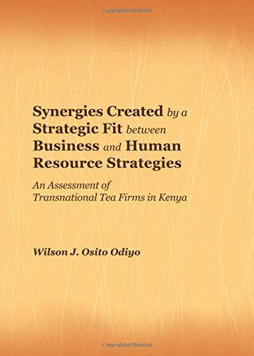 synergies created by a strategic fit between business and human resource strategies an assessment of