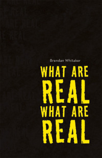 what are real what are real 1st edition brendan whitaker 1665735783, 1665735791, 9781665735780, 9781665735797