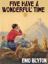 five have a wonderful time 1st edition enid blyton 1479451029, 9781479451029