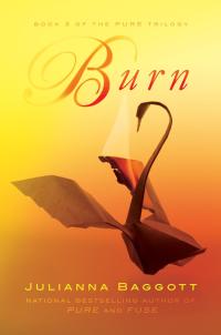 burn the pure trilogy 1st edition julianna baggott 1455503029, 9781455503025