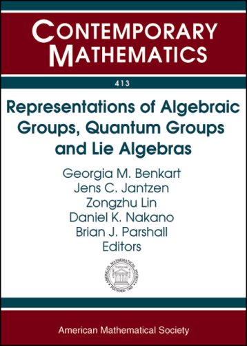 representations of algebraic groups quantum groups and lie algebras 1st edition georgia benkart, jens c.