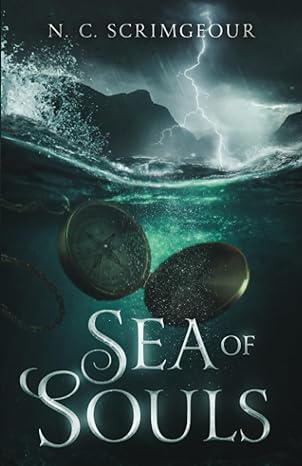 sea of souls 1st edition n. c. scrimgeour 1838459944, 978-1838459949