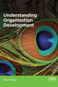 understanding organisation development 1st edition paul tosey 184398430x, 9781843984306