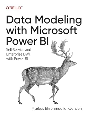 data modeling with microsoft power bi self service and enterprise dwh with power bi 1st edition markus