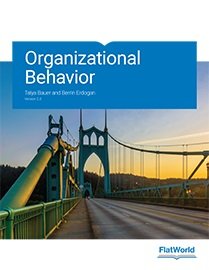 organizational behavior version 2.0 1st edition talya bauer and berrin erdogan 1453371192, 9781453371190