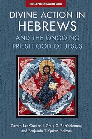 divine action in hebrews and the ongoing priesthood of jesus  zondervan ,gareth lee cockerill ,craig
