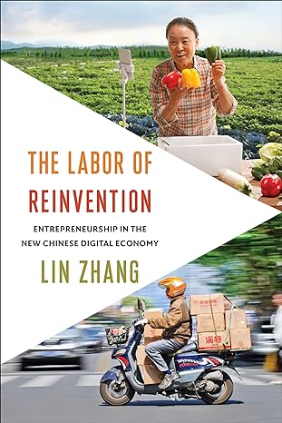 the labor of reinvention entrepreneurship in the new chinese digital economy 1st edition lin zhang