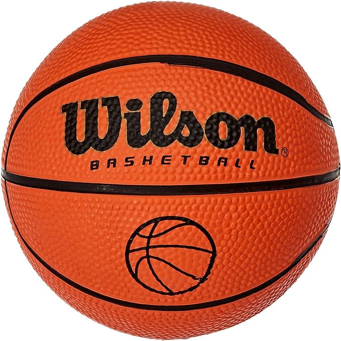 wilson basketball indoor and outdoor  ?wilson b003bedt1y