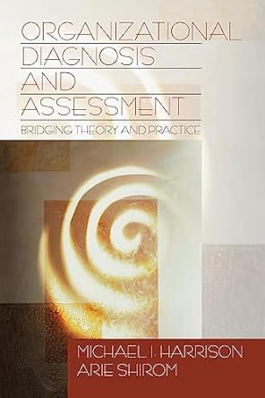 organizational diagnosis and assessment bridging theory and practice 1st edition michael i. harrison ,arie