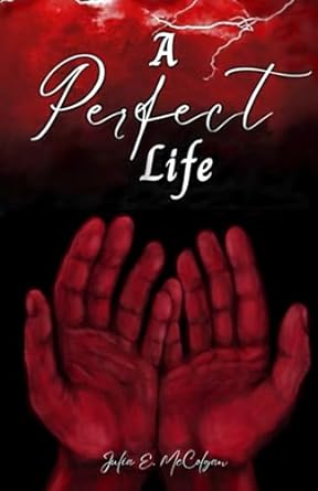 a perfect life 1st edition julia mccolgan 979-8859455638