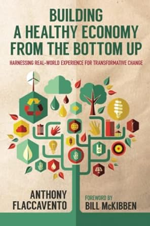 building a healthy economy from the bottom up harnessing real world experience for transformative change 1st