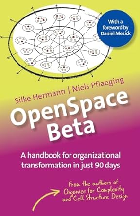 openspace beta a handbook for organizational transformation in just 90 days 2nd  edition silke hermann ,niels