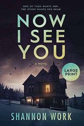 now i see you large print  shannon work 1735435325, 978-1735435329