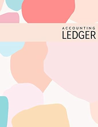 accounting ledger 1st edition camille raphael 979-8576877850