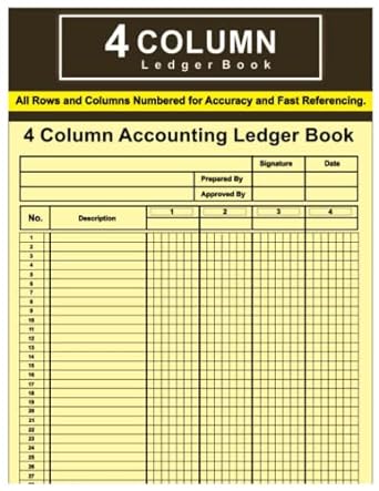 4 column accounting ledger book 1st edition beth diamond 979-8987400531