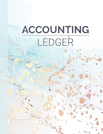 accounting ledger 1st edition rae & webb 979-8510728040