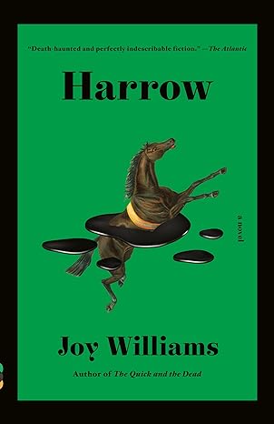 harrow a novel 1st edition joy williams 1984898809, 978-1984898807