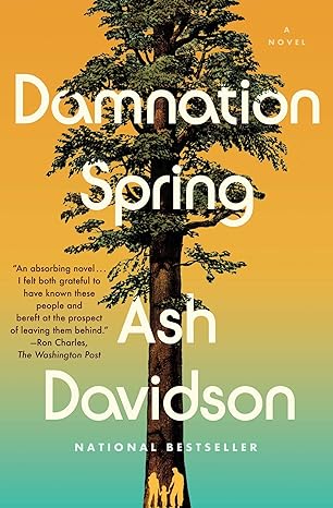 damnation spring 1st edition ash davidson 1982144416, 978-1982144418