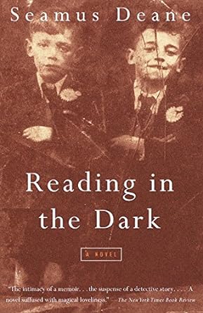 reading in the dark a novel 1st edition seamus deane 0375700234, 978-0375700231