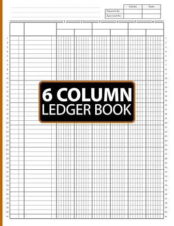 6 column ledger book 1st edition ethan m.d publishing b0cmg8kfkc