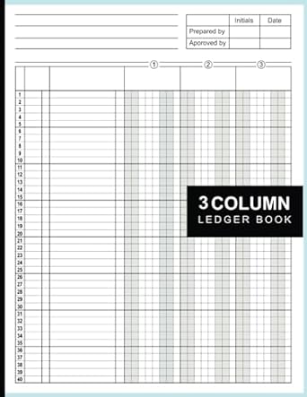3 column ledger book 1st edition am publishing b0c7t1nqwr