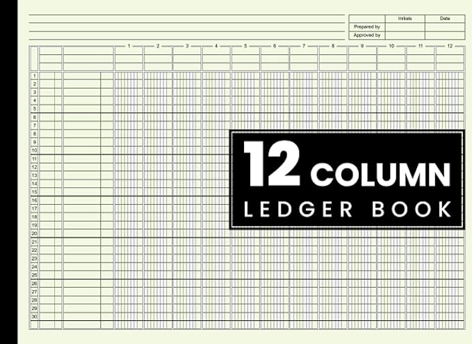 12 column ledger book 1st edition nad column ledgers b0bst5m19d