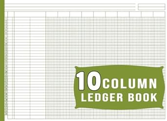 10 column ledger book 1st edition vivava amine b0cm5pbqy1