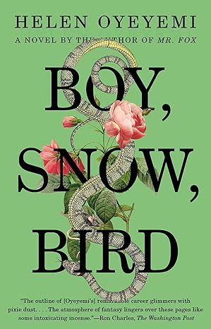 boy snow bird a novel 1st edition helen oyeyemi 1594633401, 978-1594633409