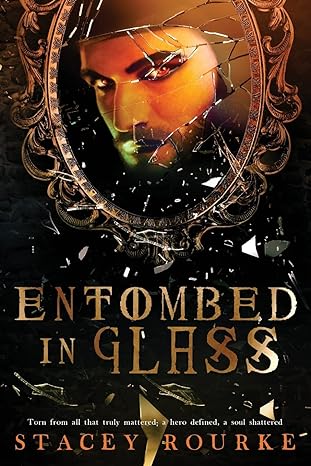 entombed in glass torn from all truly mattered a hero defined a soul shattered 1st edition stacey rourke
