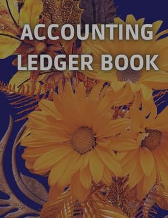 accounting ledger book 1st edition ayoub apo b0c1jbhyzn