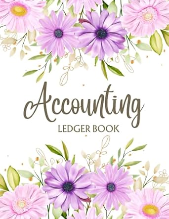 accounting ledger book 1st edition the red gold publishing b0c79lhdhb