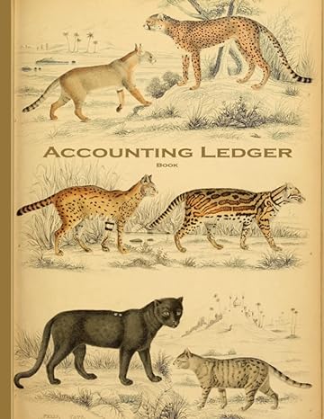 accounting ledger book 1st edition the book empress studio b0b1mxvdw6