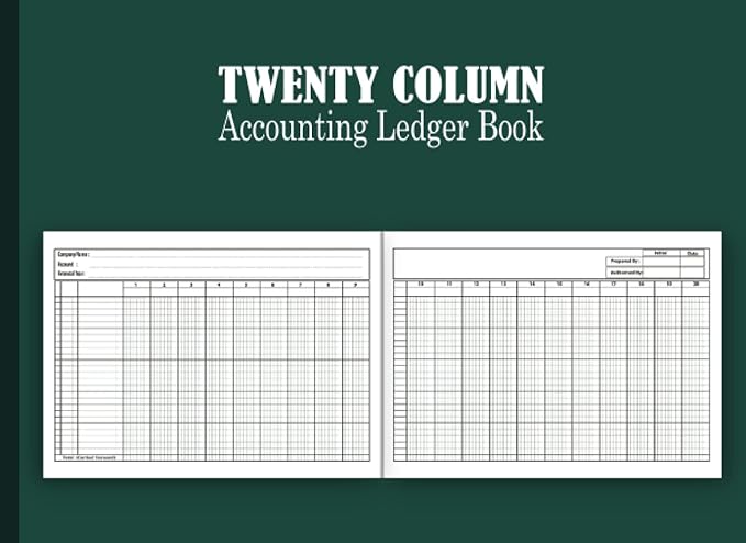twenty column accounting ledger book 1st edition anni ledger press b0brwz7sw2