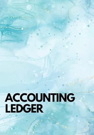 accounting ledger 1st edition rosie vu b0bzfrzphd