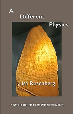 a different physics 1st edition lisa rosenberg 0998514063, 978-0998514062