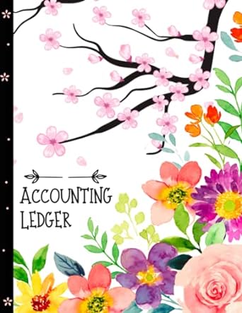 accounting ledger 1st edition the red gold publishing b0c12m1fwt
