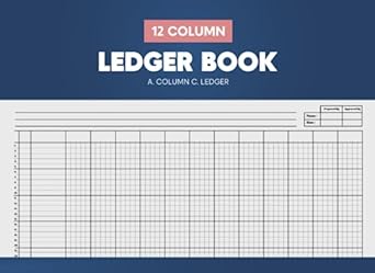 12 column ledger book 1st edition a. column c. ledger 2024 b0c51pcw3t