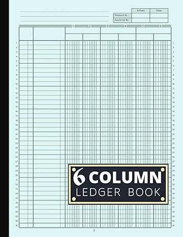 6 column ledger book 1st edition carly lindsey b0cmswlgzz