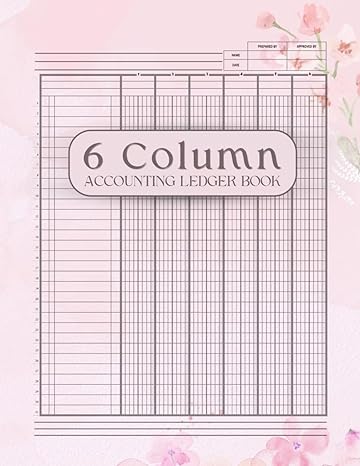 6 column accounting ledger book 1st edition marlies virgen. c b0cl33db1b