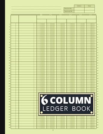 6 column ledger book 1st edition carly lindsey b0cmqbwwl7