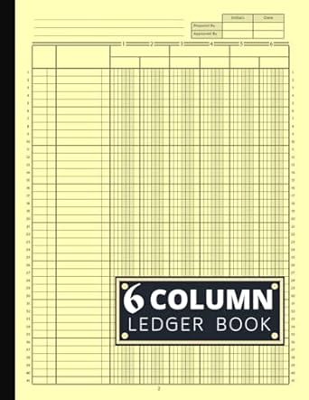6 column ledger book 1st edition carly lindsey b0cmqgn5lw