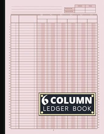 6 column ledger book 1st edition carly lindsey b0cmqrf1k7