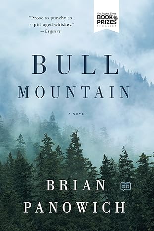 bull mountain a novel  brian panowich 0425282287, 978-0425282281