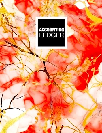 accounting ledger 1st edition just plan books b0c2rtn6t2